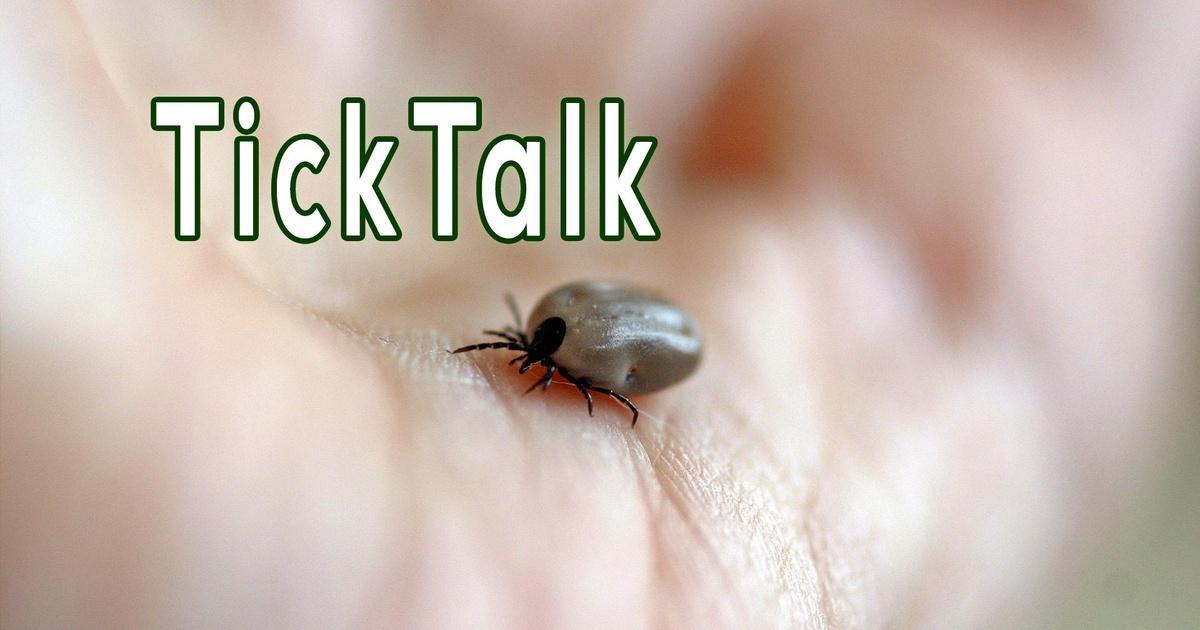 Ticks Digging In Backyard Farmer | Digging Deeper: Tick Talk | PBS
