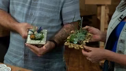 Best of: The ‘Art’ of Gardening