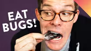 I Tried Eating Bugs… Here's What I Learned