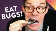 I Tried Eating Bugs… Here's What I Learned