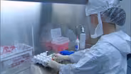 DEADLY FLU OUTBREAK IN NYC
