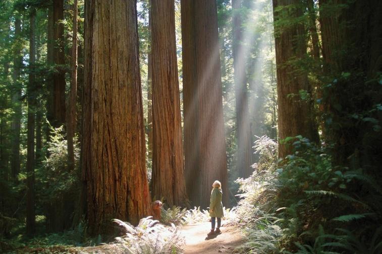 Giants Rising Poster