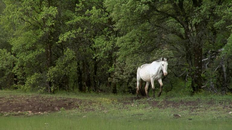 Thumbnail for America's Heartland Season 19 Episode 9