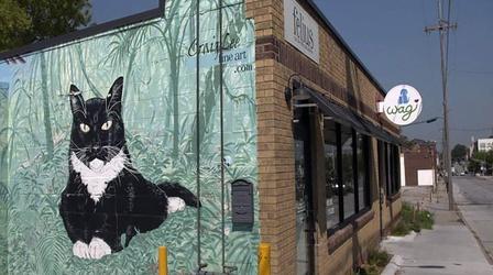 Video thumbnail: Nebraska Stories 1108: Hot Coffee and Cool Cats and More