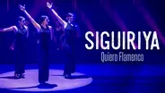 Siguiriya by Quiero Flamenco