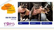 08/01/2024 | Libra, London and Short Stack   | Mark's Furry Friends | Web Extra