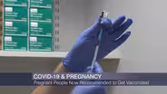 COVID-19 Vaccines Recommended During Pregnancy