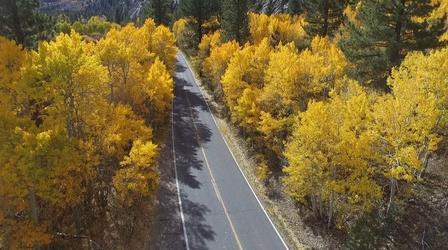 Video thumbnail: ViewFinder Colors of California Preview