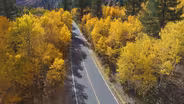 Colors of California Preview