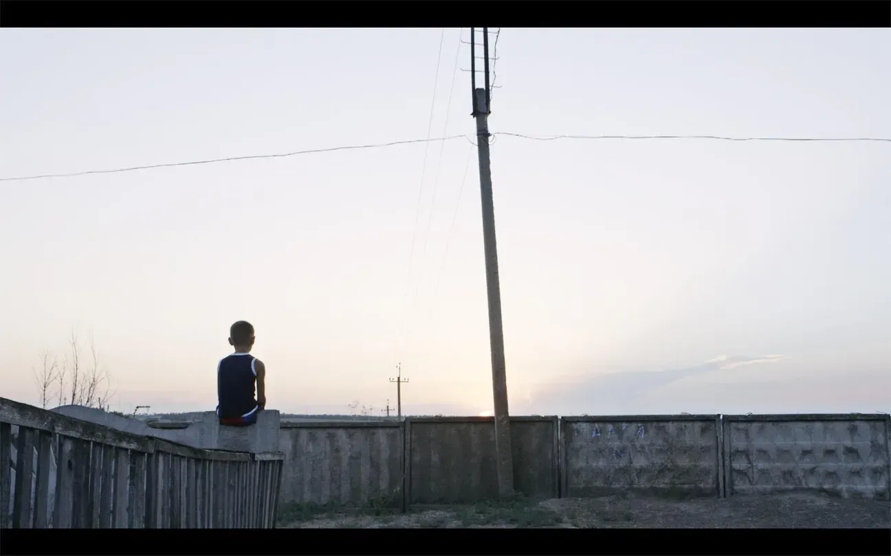 POV | The Distant Barking of Dogs
