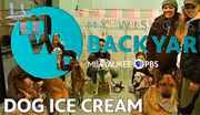 Dog Ice Cream