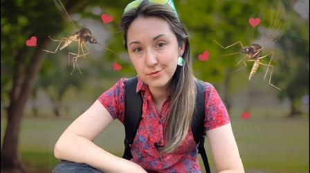 Video thumbnail: Reactions Why are Mosquitos So Obsessed with Me?