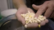 What Makes Riggs Beer Different