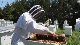 Video thumbnail: Backyard Farmer Backyard Farmer: At the 2019 Nebraska State Fair