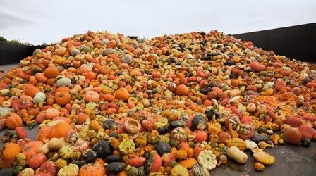 Video thumbnail: Broken Bread Waste Preview