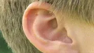 D4K: Hearing