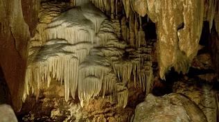 Luray Caverns