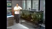 Community Tank