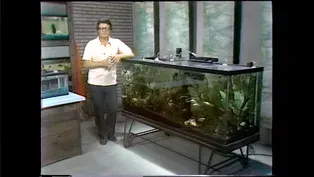 Community Tank