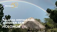 Holomua – Moving Forward