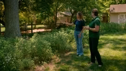 Shaded Mini-Meadow