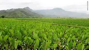 Indigenous Agriculture