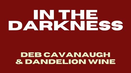 Video thumbnail: AHA! A House for Arts Deb Cavanaugh & Dandelion Wine "In The Darkness"
