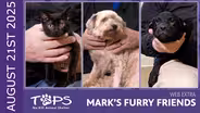 08/21/25 | Scoots, Mike W, and Griffin | Mark's Furry Friend's Extra