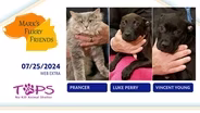 07/25/2024 | Prancer, Luke Perry and Vincent Young  | Mark's Furry Friends | Web Extra