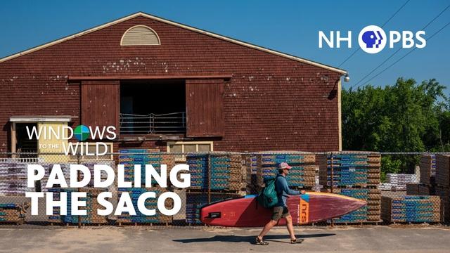 Paddling The Saco