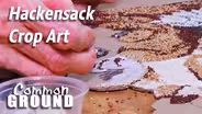 Hackensack Crop Artist Linda Paulson