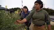 Internships – Preparing Students for Science Careers