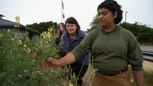 Internships – Preparing Students for Science Careers