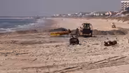 Feeding the Beach