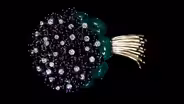 Appraisal: Verdura Flower Brooch, ca. 1954