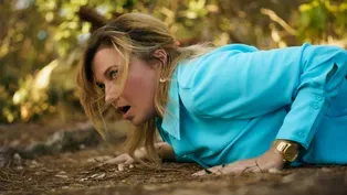 Wild Life