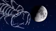 Scorpio's Occult Moon | August 14 - August 20