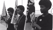 The Black Panthers: Vanguard of the Revolution