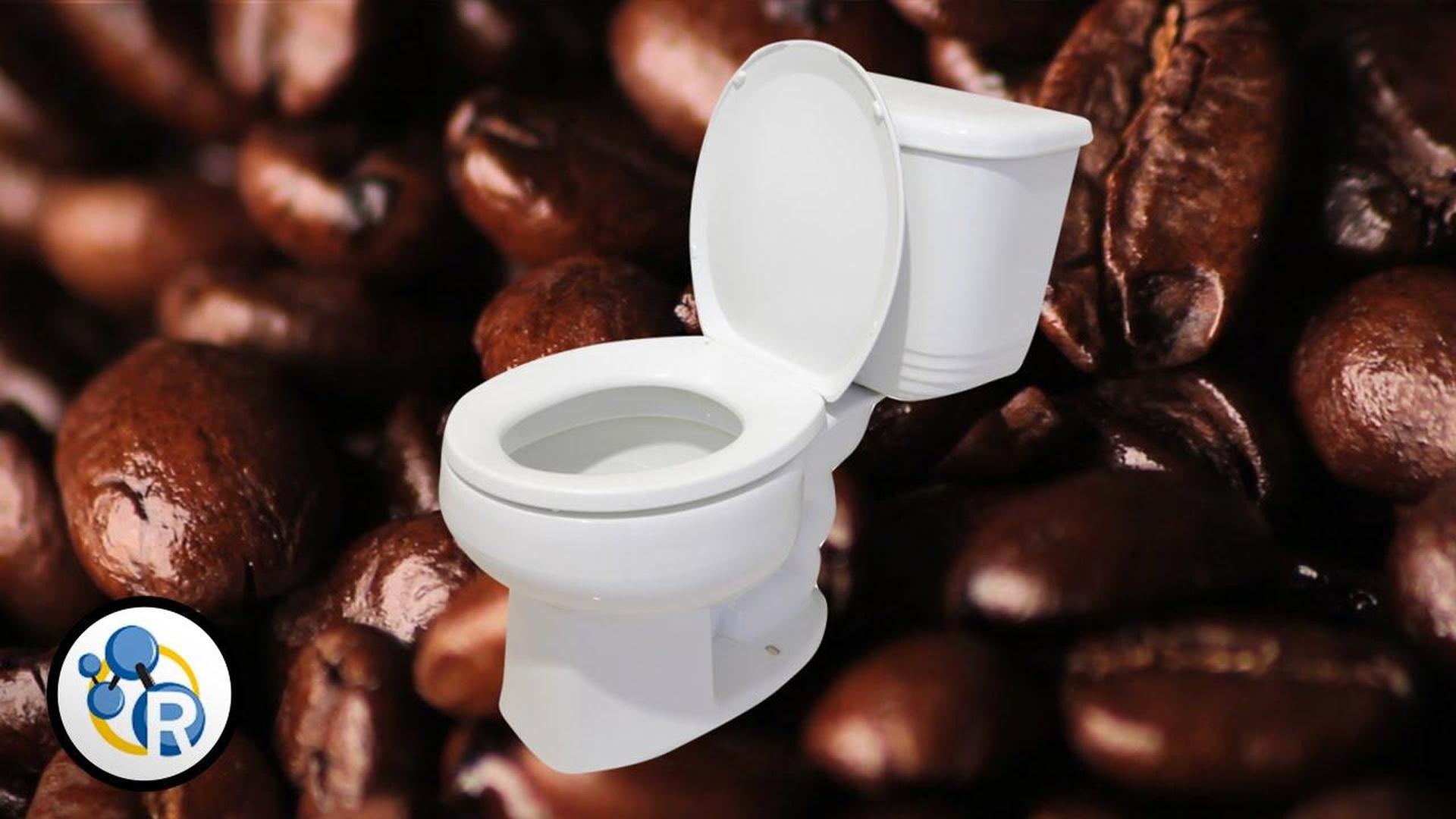 Why Does Coffee Make You Poop? Reactions ALL ARTS