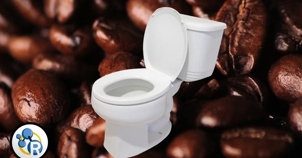 Reactions Why Does Coffee Make You Poop? Season 2 Episode 39 PBS