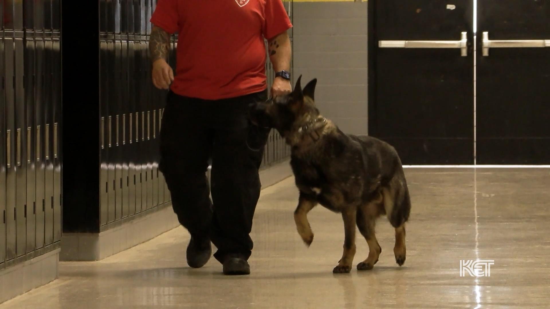 Johnson Co. Schools Using K9 To Protect Students