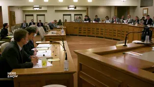 Joint Finance Committee Allocates Opioid Settlement Funds