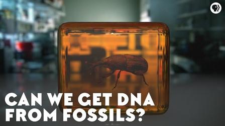 Video thumbnail: Eons Can We Get DNA From Fossils?