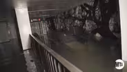 NEW YORK’S FLOODING DANGERS