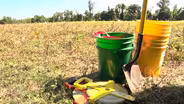 Revolutionary War relics found at Princeton Battlefield site
