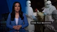 Bird flu outbreak spreads, but risk to public 'very low'