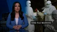 Bird flu outbreak spreads, but risk to public 'very low'