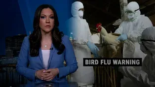 Bird flu outbreak spreads, but risk to public 'very low'