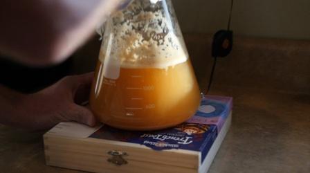 Video thumbnail: SciTech Now The Science of Perfect Beer