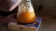 The Science of Perfect Beer